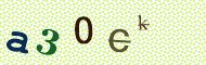 CAPTCHA code